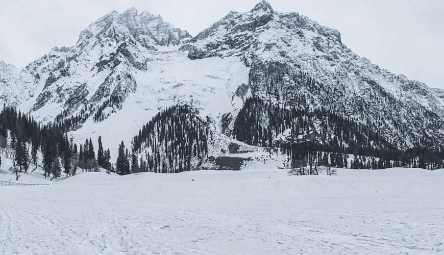 Journey to the heart of Kashmir with Paradise Pathways- your passport to an unforgettable Kashmir experience.