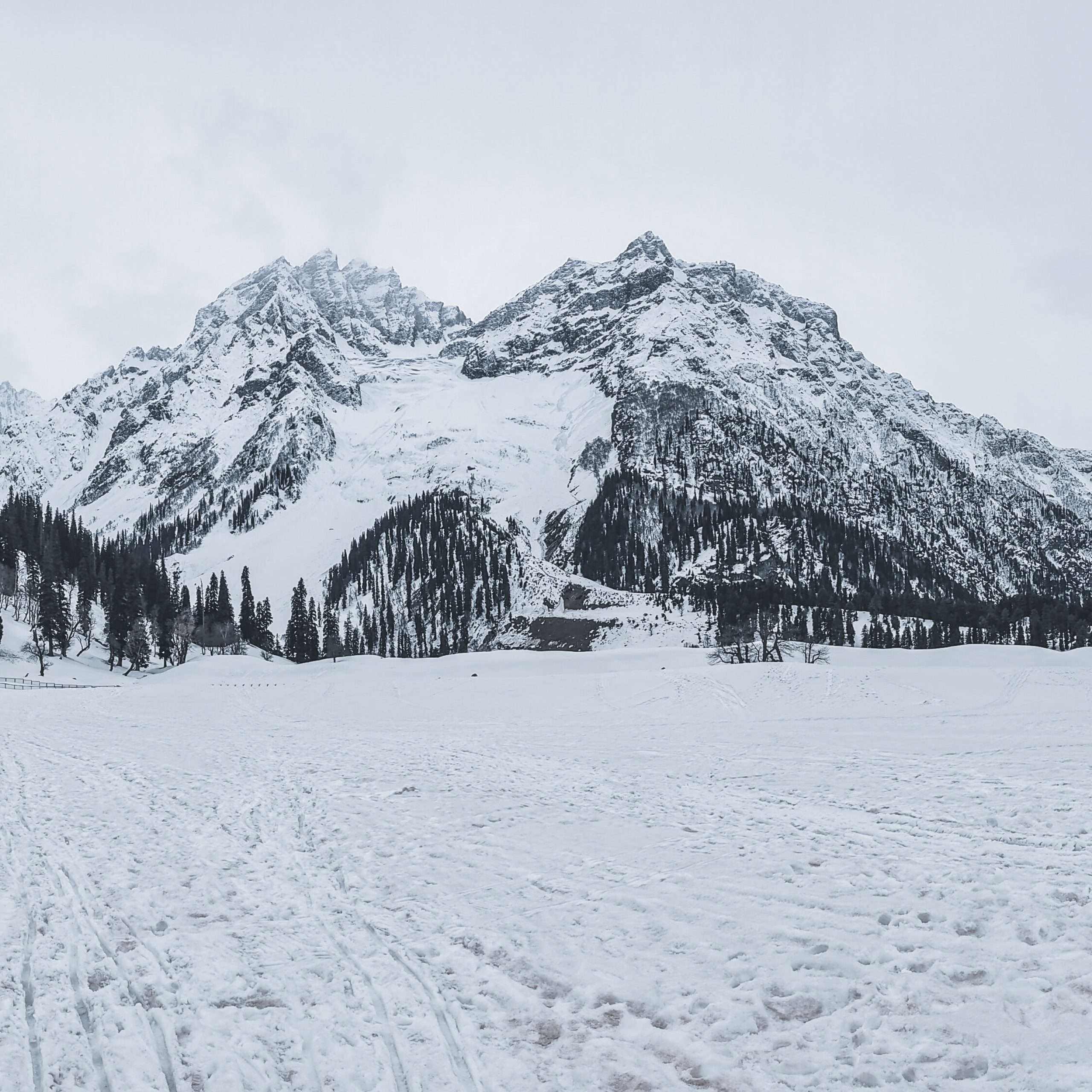 The Kashmir Symphony: Premium Kashmir Tour