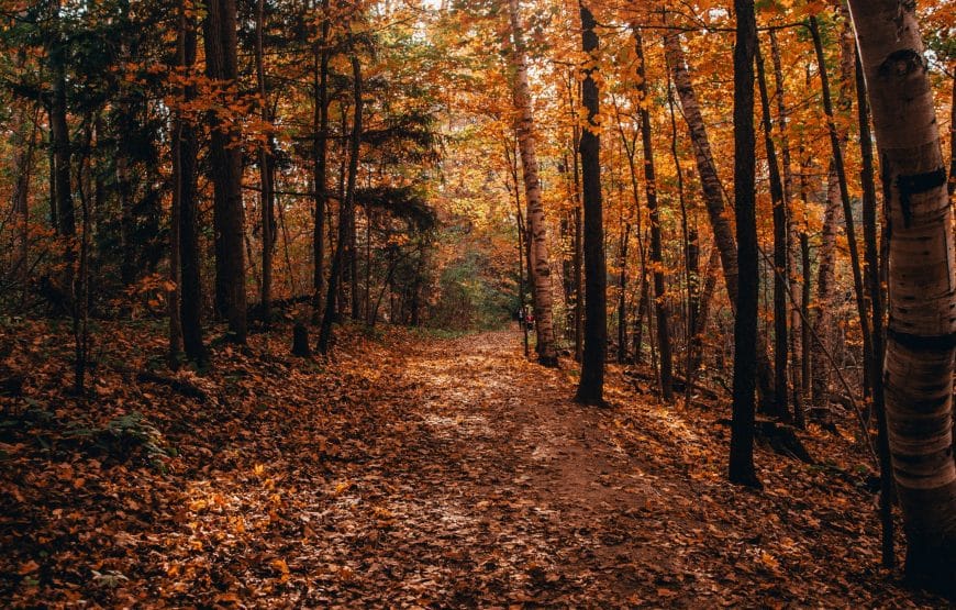 The Customized Glory- Make your own Package