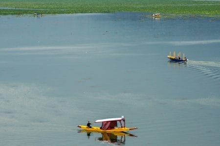 Journey to the heart of Kashmir with Paradise Pathways- your passport to an unforgettable Kashmir experience.