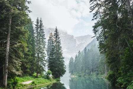 Journey to the heart of Kashmir with Paradise Pathways- your passport to an unforgettable Kashmir experience.