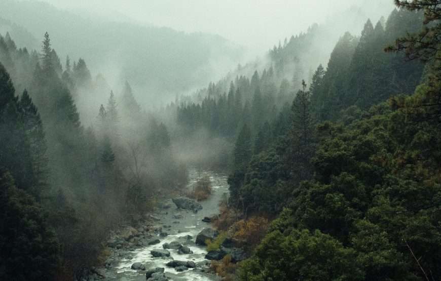 The Kashmir Kaleidoscope: Kashmir 4 Days, 3 Nights