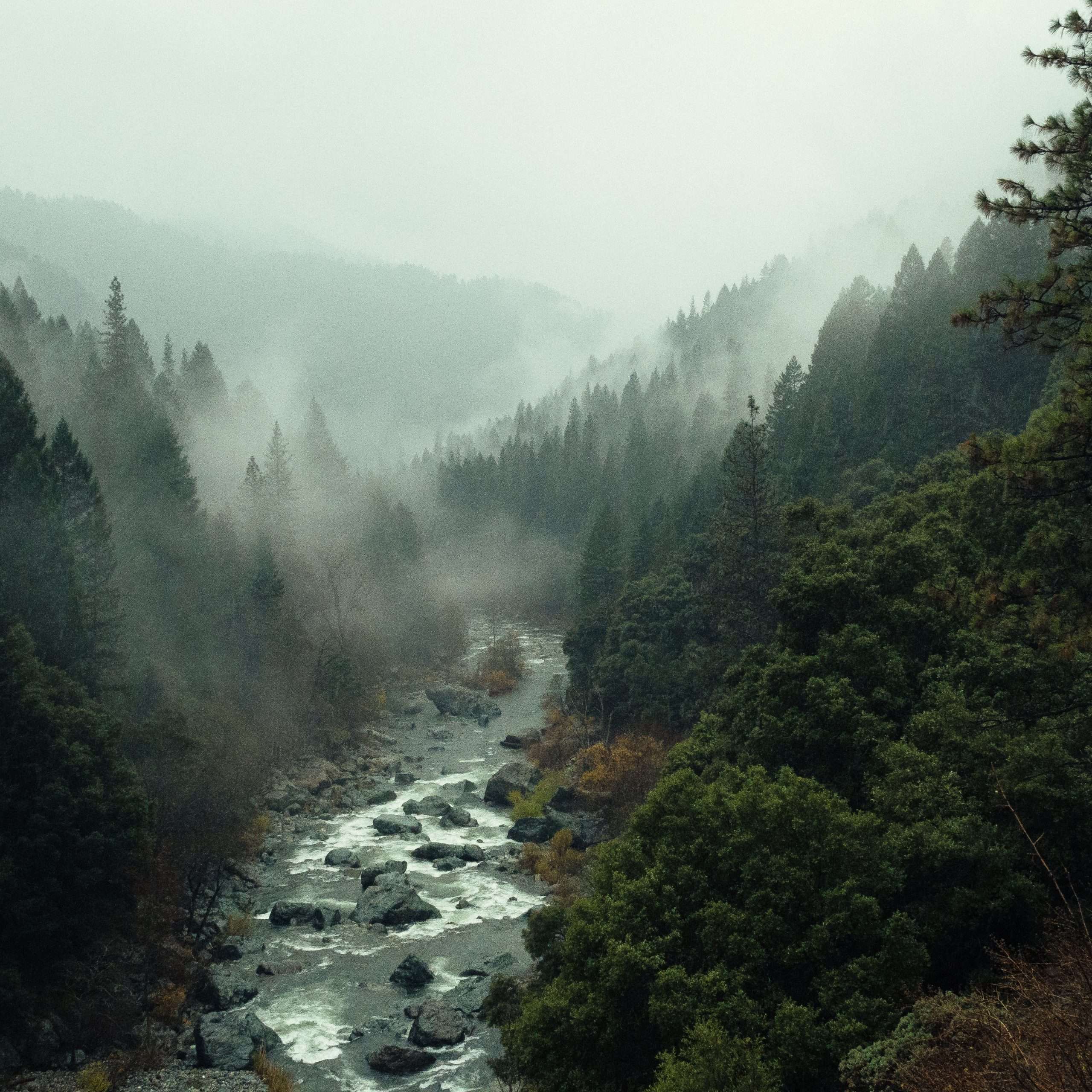 The Kashmir Symphony: Premium Kashmir Tour