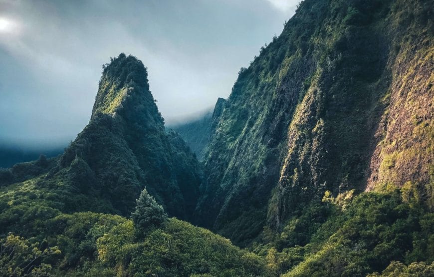 The Kashmir Kaleidoscope: Kashmir 4 Days, 3 Nights