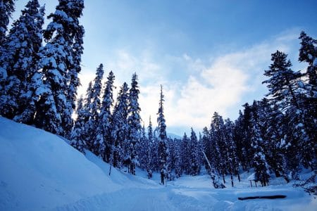 Journey to the heart of Kashmir with Paradise Pathways- your passport to an unforgettable Kashmir experience.