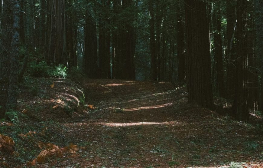 Paradise Peaks: Cheapest Kashmir tour Package